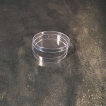 Петри Ø 80 MM , Без отвори - Стерилно R