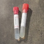 Епруветки с отделяне на силиконов гел CLOT ACCELERATOR , Vol. 5 мл , Ø 13 х 75 mm , високо сцепление