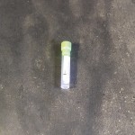 Събиране на кръв тръби за педиатрична LOW - VOLUME ДОБИВ , K2 EDTA светло зелено капаче за един милилитър кръв в епруветки Ø 12x56 mm
